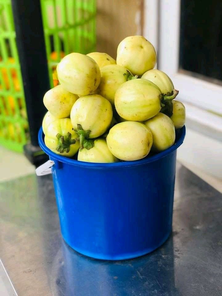 Garden eggs (blue buckets)