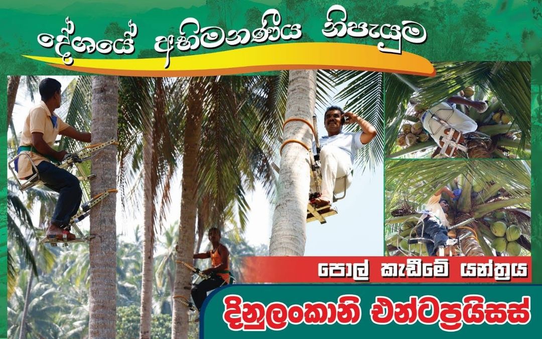 Coconut Tree Climbing tool 