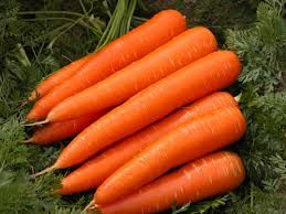 Carrots 