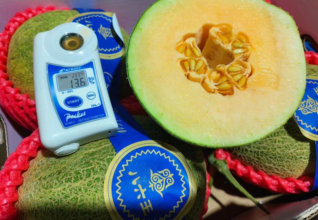 八六王哈密瓜 HAMI MELON 