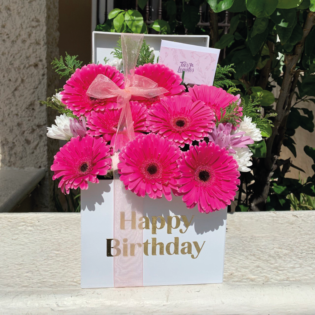 Box de gerberas