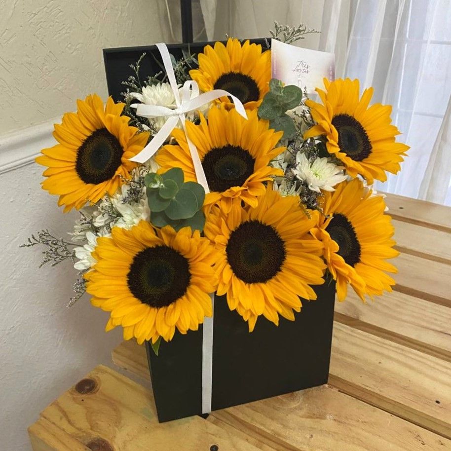 Box de girasoles