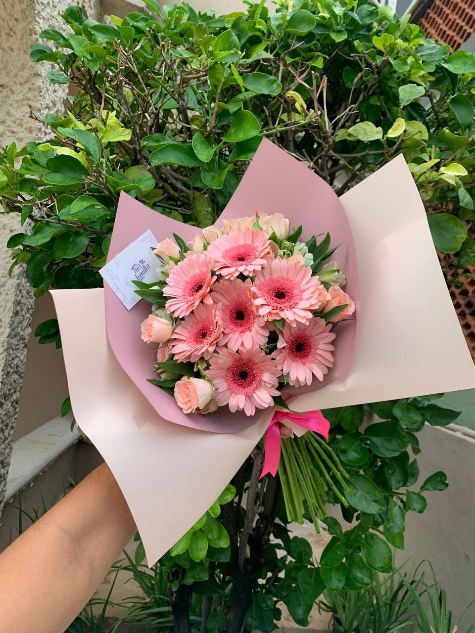 Mini rosas con gerberas