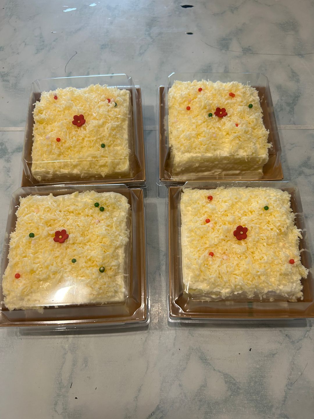 Snow Cheese cake (Small)