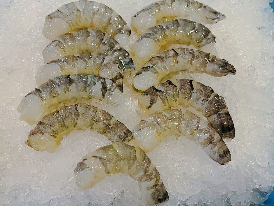 活虎虾肉 Live Tiger Prawn Meat