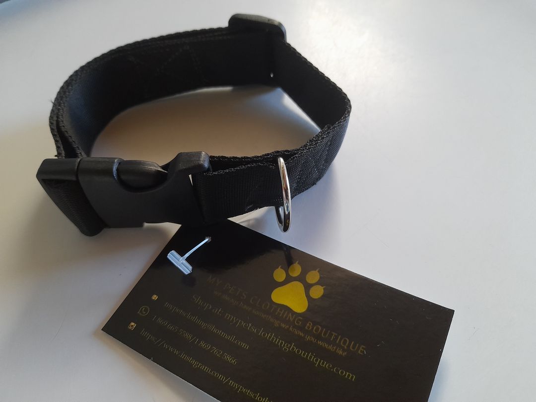 Locally made dog collar