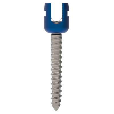 Poly axial spine screw 