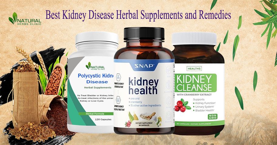 10 Best Kidney Disease Herbal Supplements and Remedies