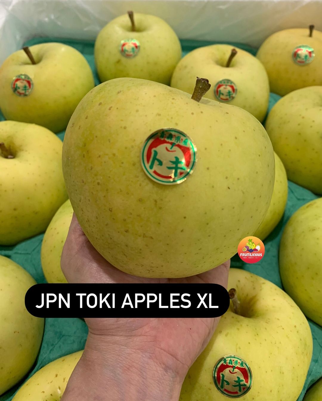 JPN TOKI APPLES (M)