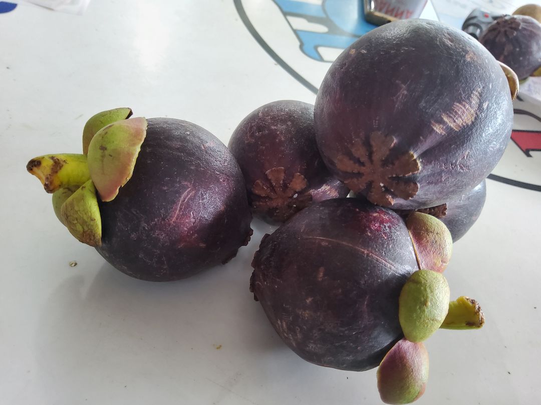 Japan Mangosteen (1kg)