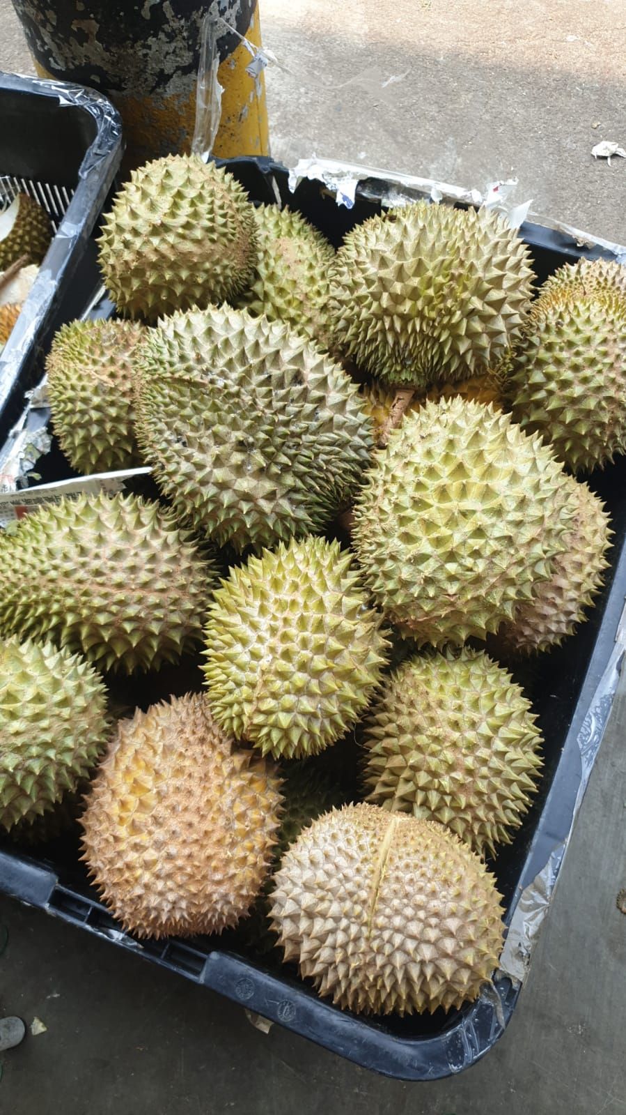 Durian Buffet