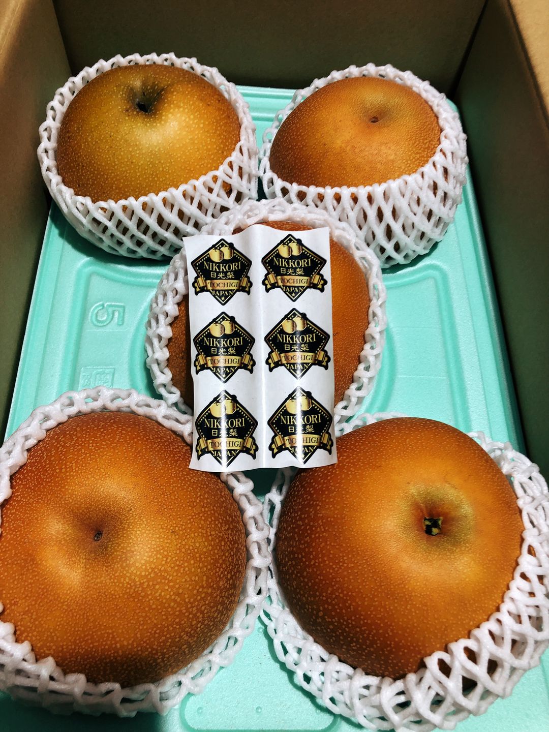 Japan Tochigi Nikkori Jumbo Pear