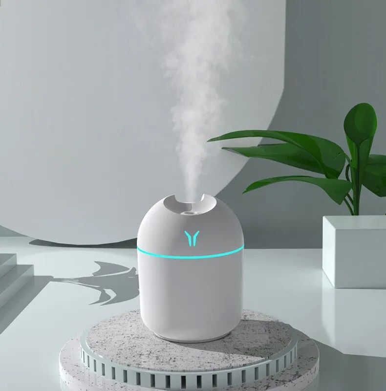 Portable Mini Humidifier, 250ml Small Cool Mist Humidifier with Colorful LED Night Light, USB Personal Desktop Humidifier for Car Office Home Travel, Auto Shut-Off, 2 Mist Modes