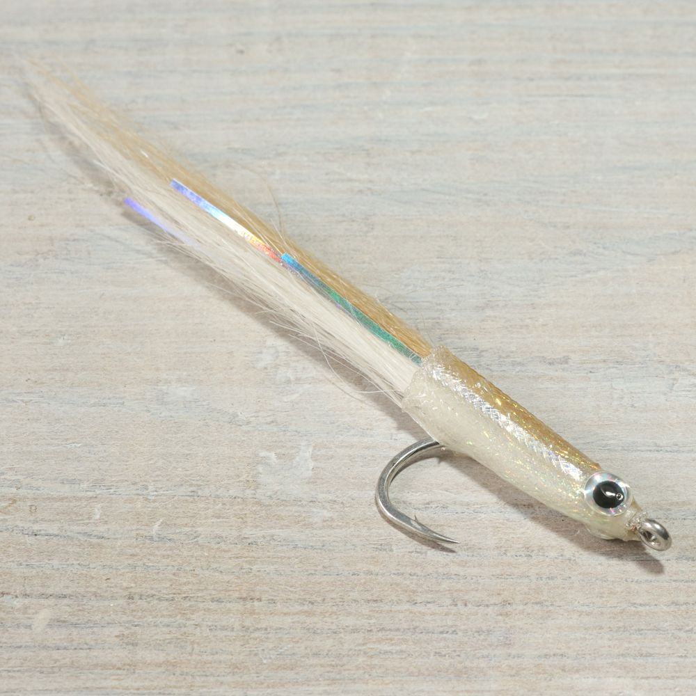 Silverside Minnow