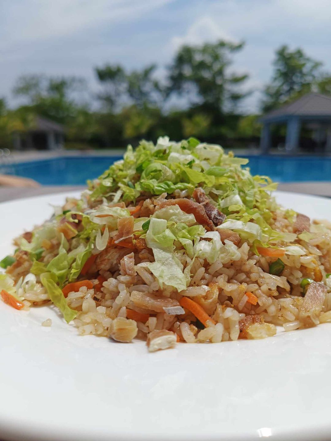 Salted Fish Fried Rice 咸鱼炒饭