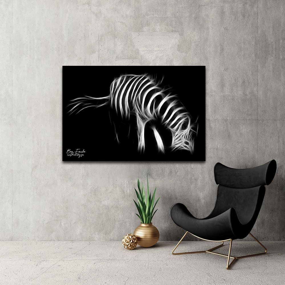 Zebra Grazing B&W (Limited Edition) Only one item