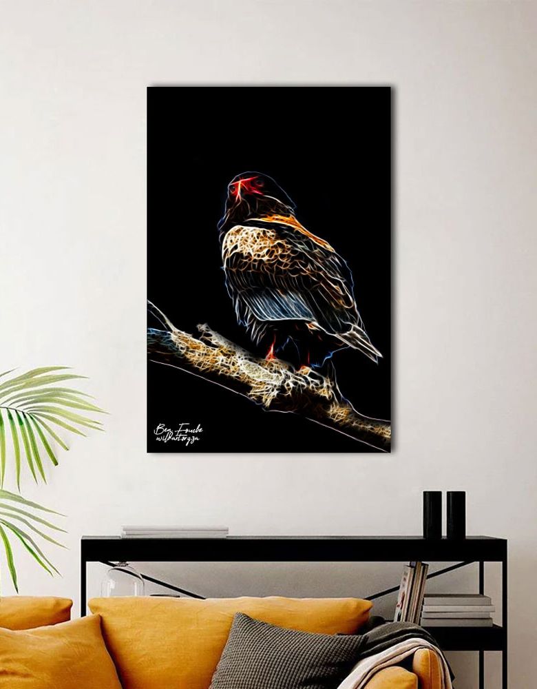 Bateleur