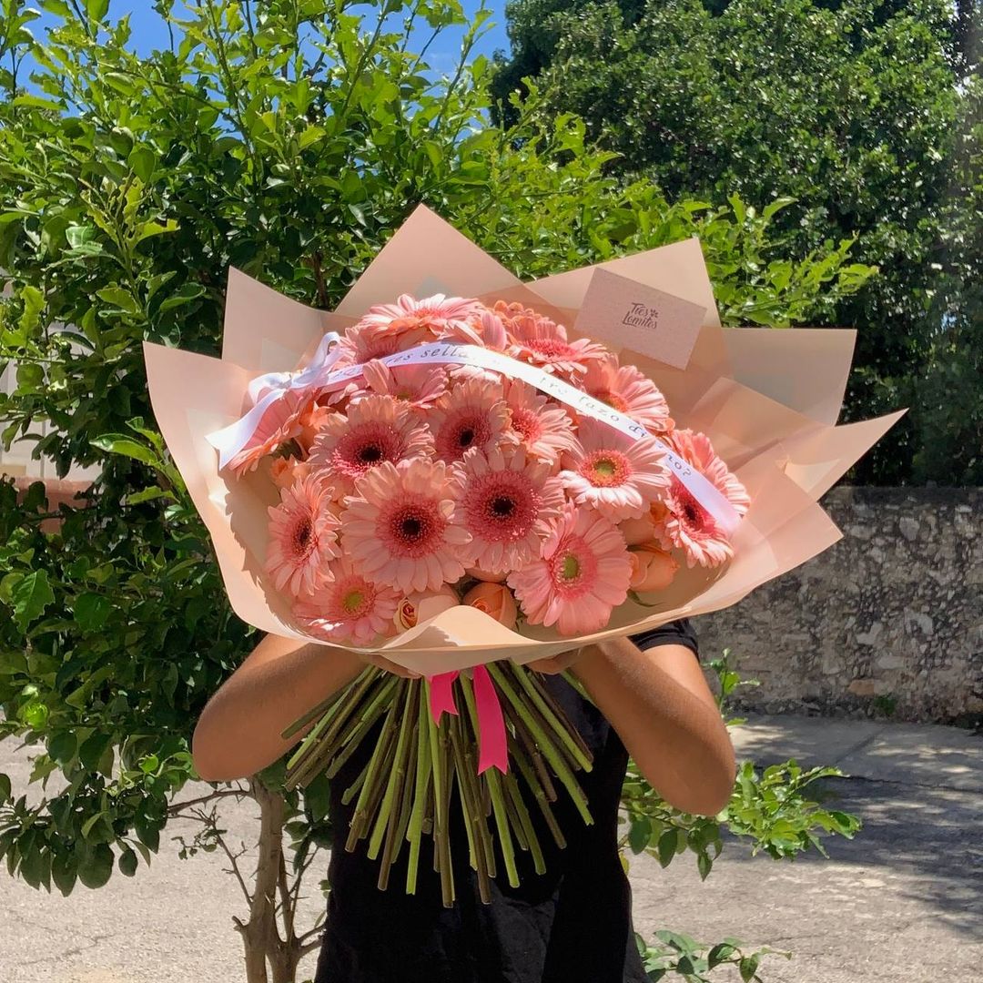 50 rosas con gerberas