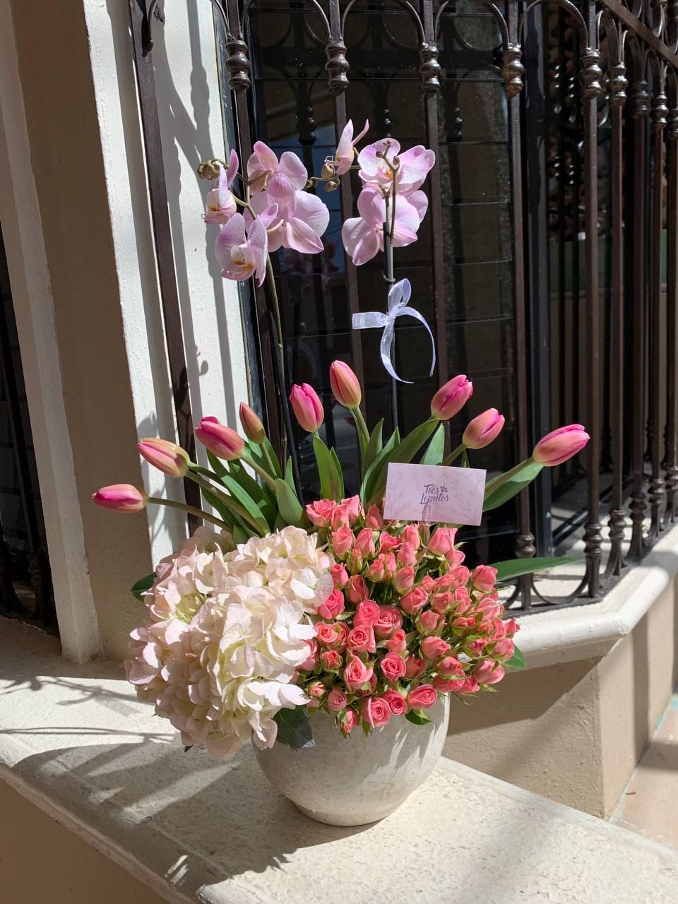 Orquídea Sweet con tulipanes