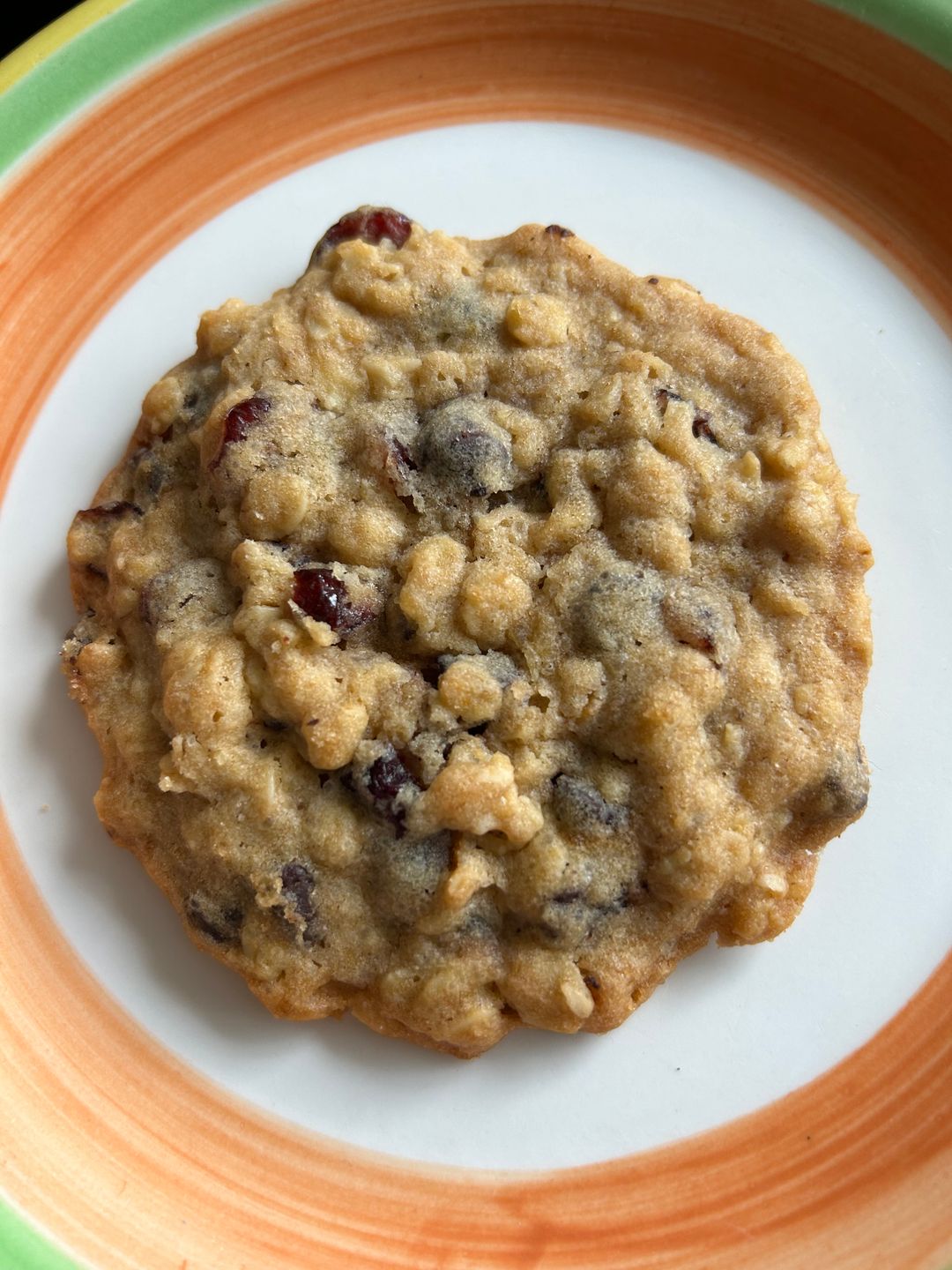 Oatmeal Cranberry Cookie