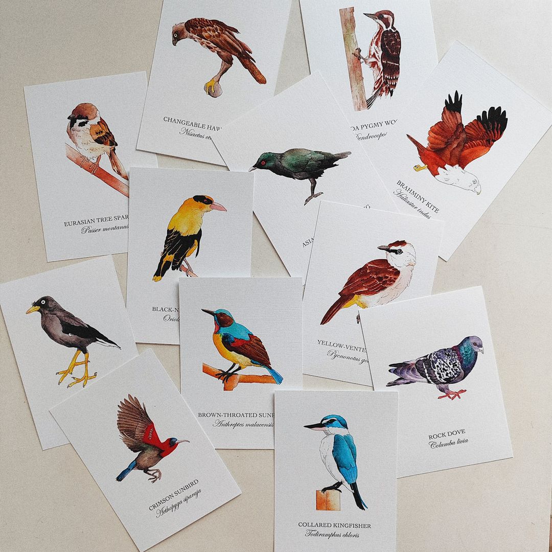 Birds of Singapore I Postcard Set (Set of 12)