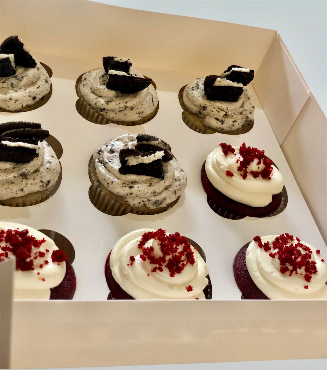 Signature Cupcakes- Gourmet 