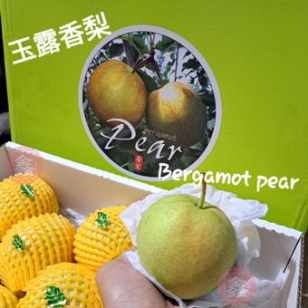 Bergamot Pear 玉露香梨