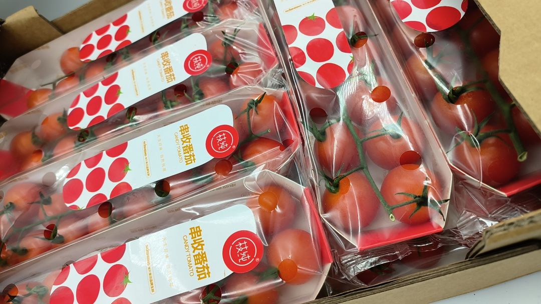 Candy Tomatoes