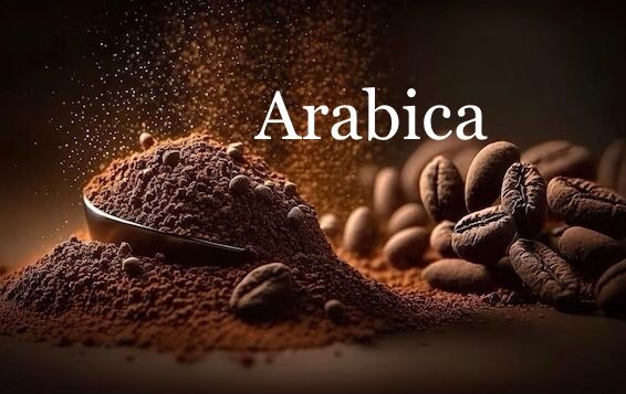 Signature Arabica Ground Coffee Powder