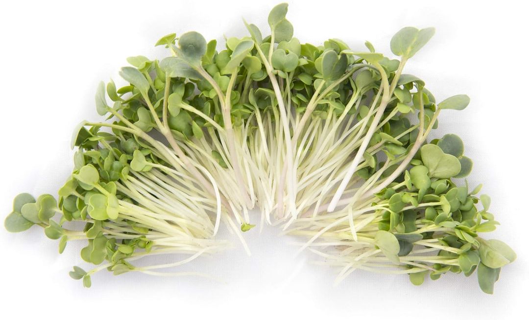 Eastern Sun Asian Microgreen Mix