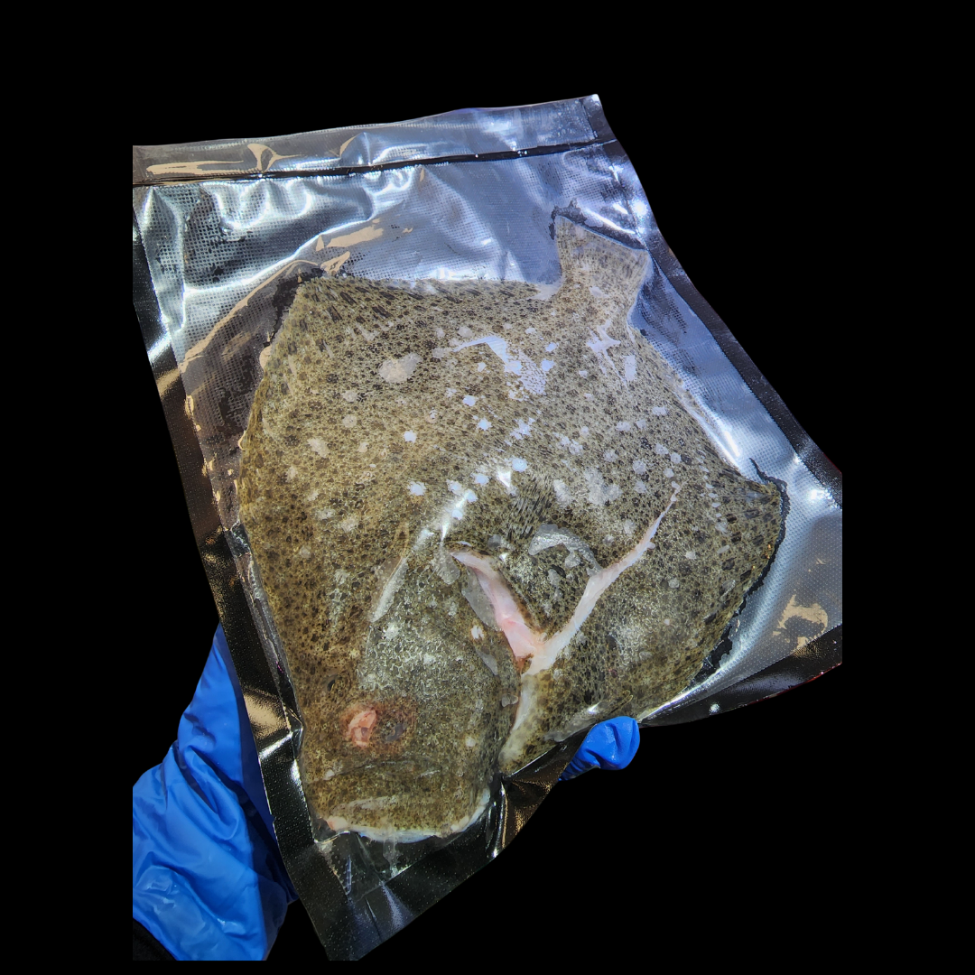 游水多寶魚🐟(約14兩)
