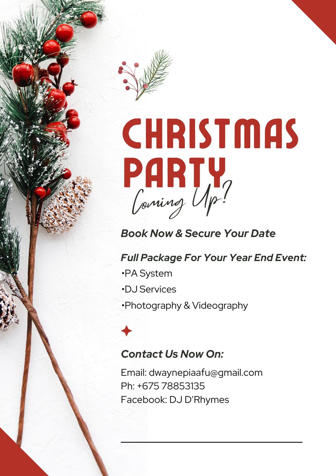 Christmas Corporate Hire Package