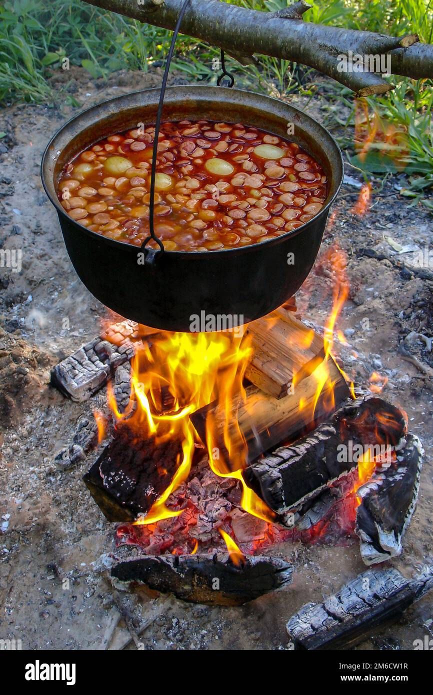 Chicken and Veg Soup 