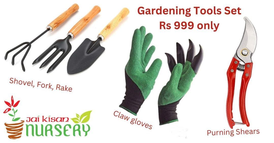 Garden Tools Set 5 in 1