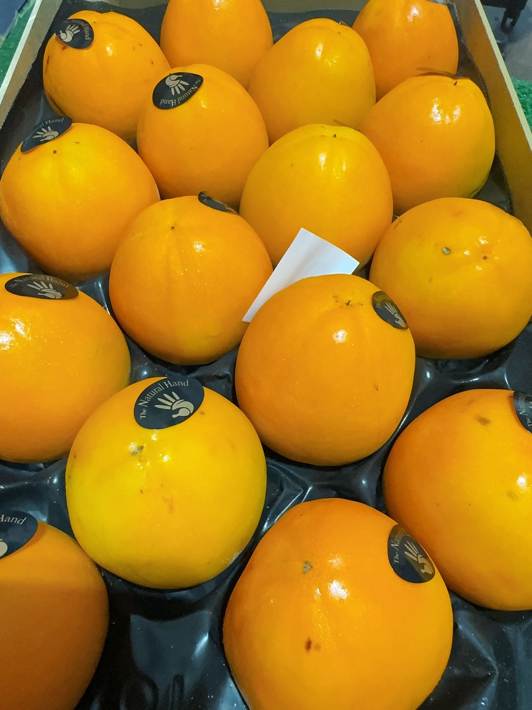 Spain Kaki Persimmon