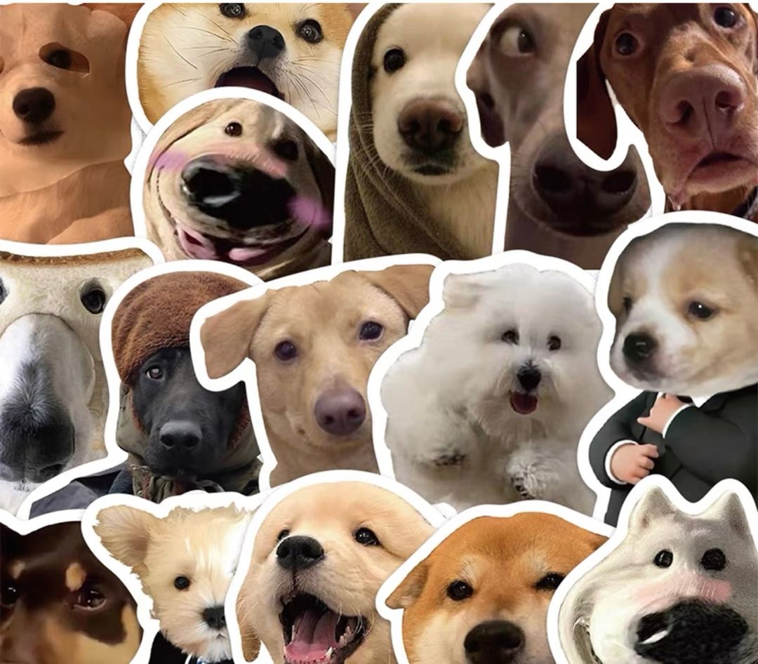 Dog Meme Stickers