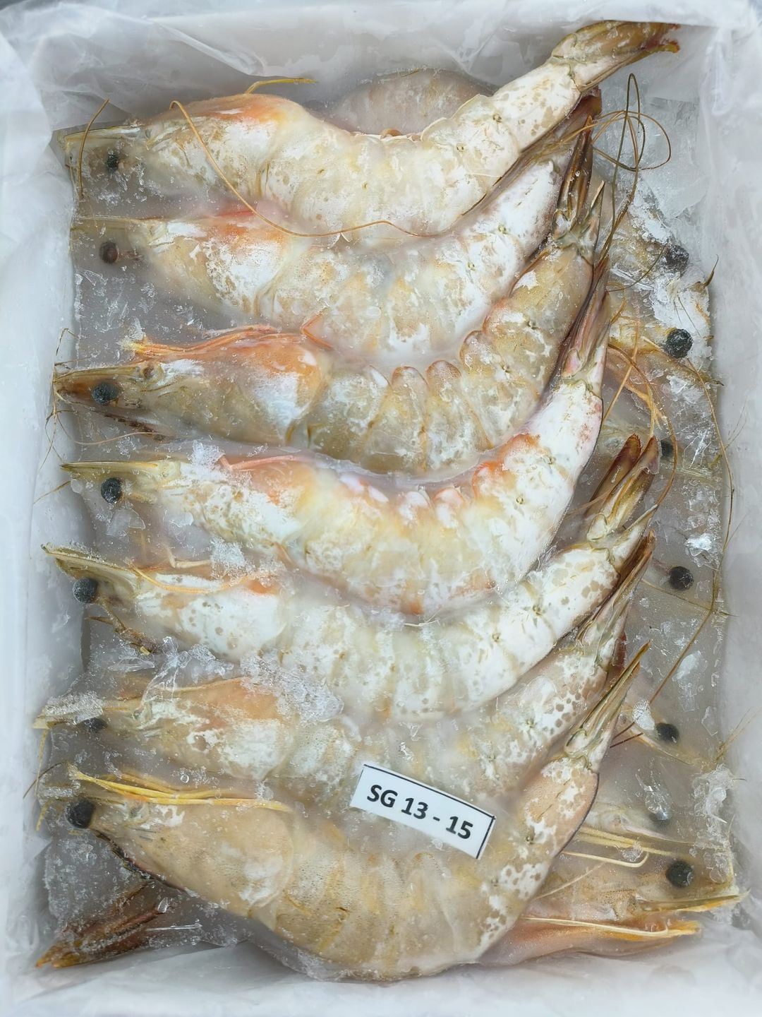 Red Leg Sea Prawn 13-15 per kg