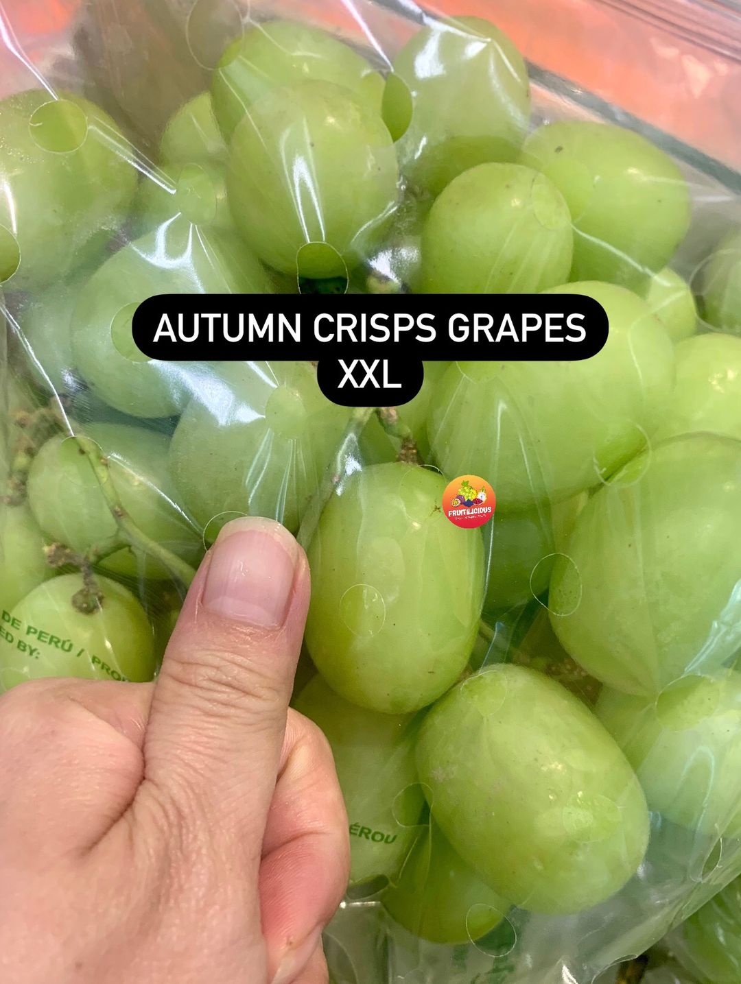 JUMBO AUTUMN CRISP GREEN SL GRAPES