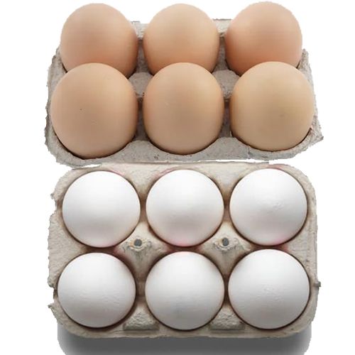 6 Egg