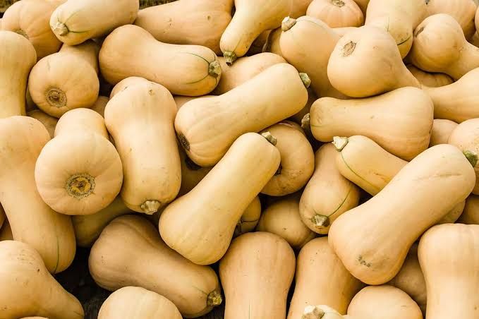 Butternut  Squash 