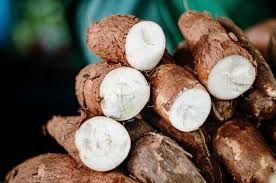 Cassava (Mhogo)