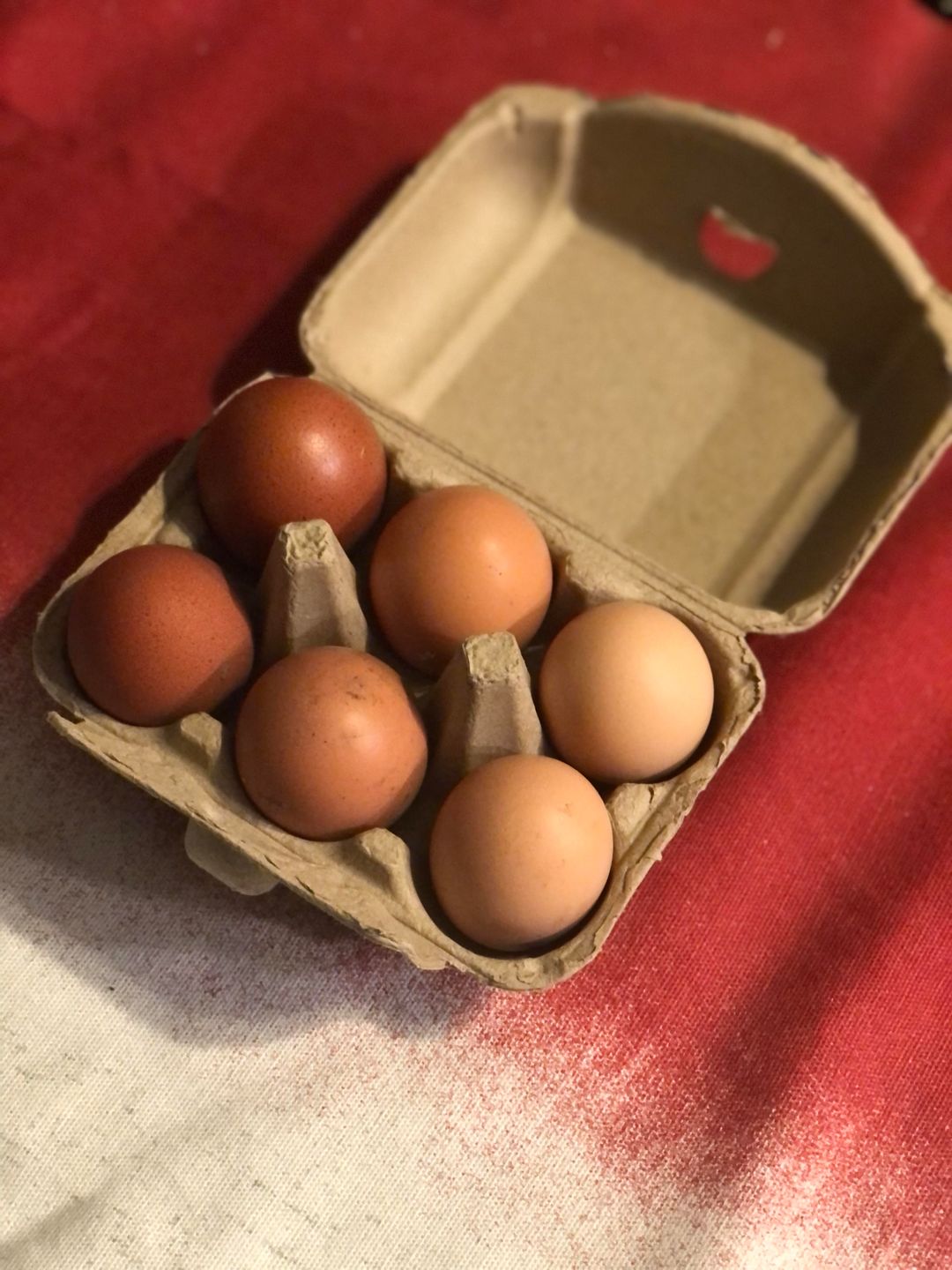 6 Chicken Eggs