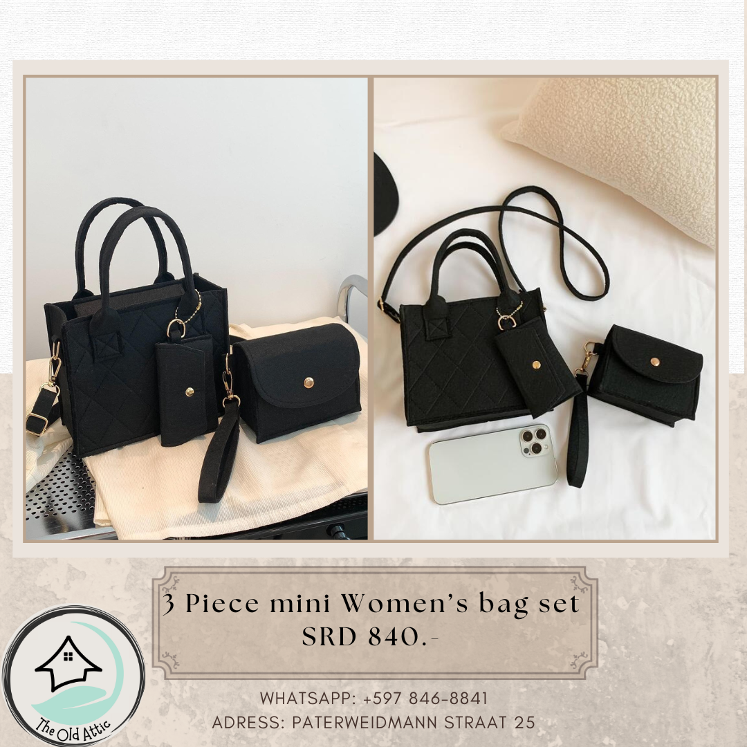 3 piece Small Women's Purse set