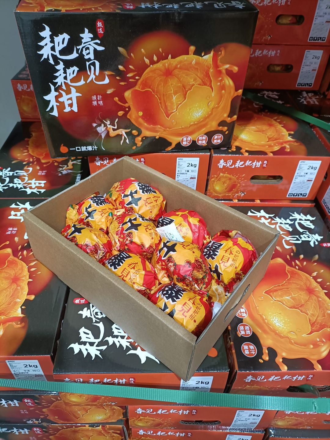 China Chun Jian PaPa Oranges (Seedless)