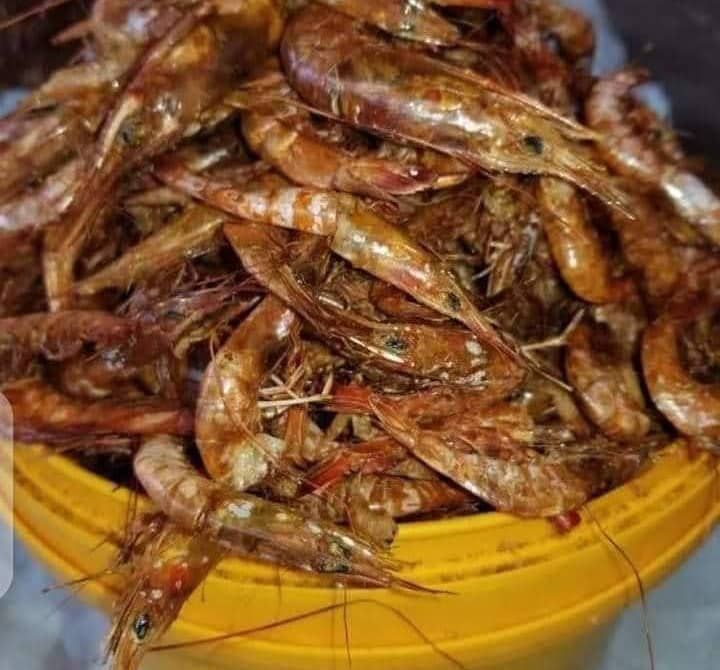 Prawns