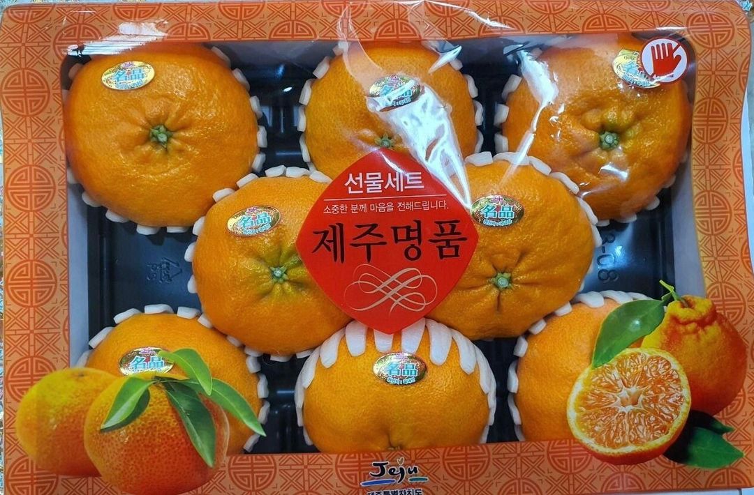 Korean Jeju Redhyang Orange 3KG - (8-10pcs) CNY