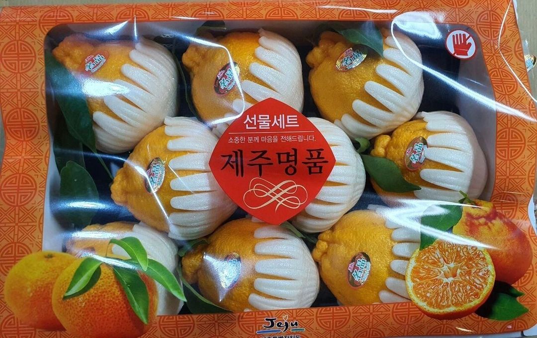 Korean Hallabong Orange (8-10pcs) CNY