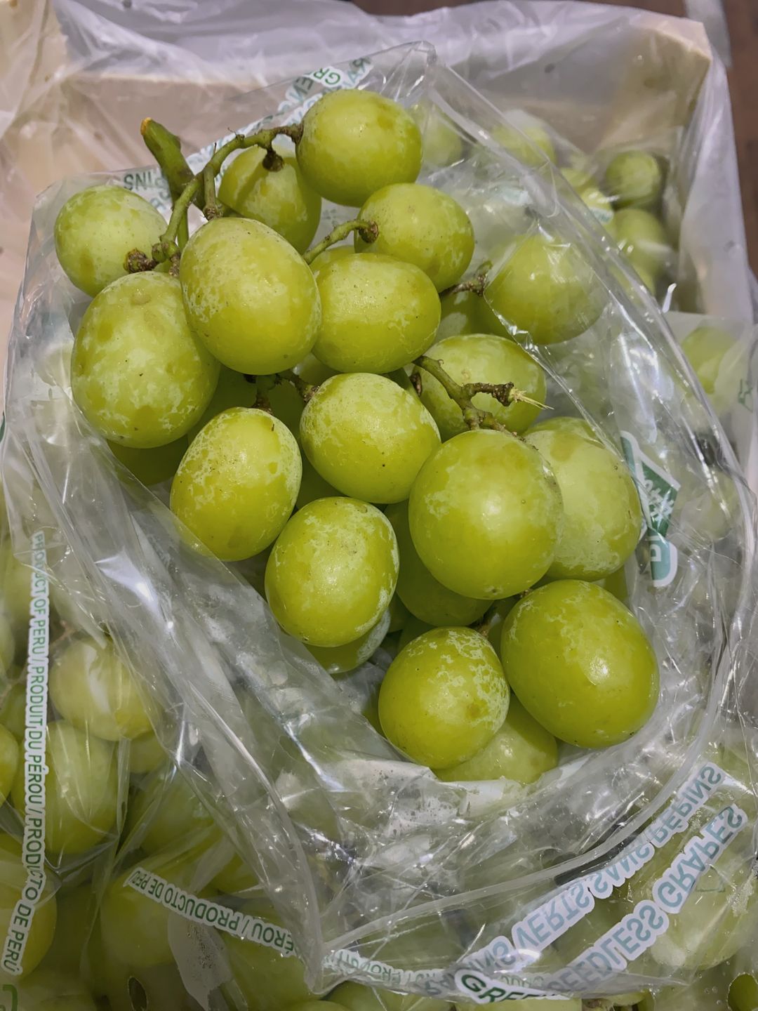 Peru Autumn Crisp Green Grape