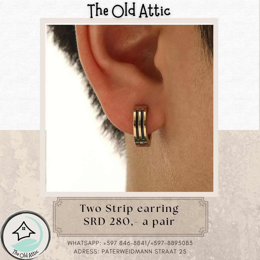 Two Strip earring 