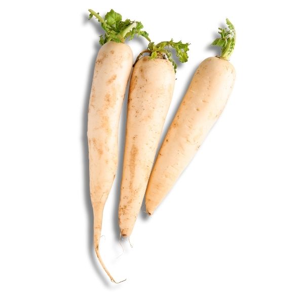 Long Radish